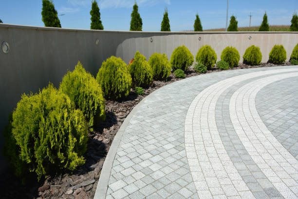 Best Affordable Driveway Pavers  in Glenwood City, WI